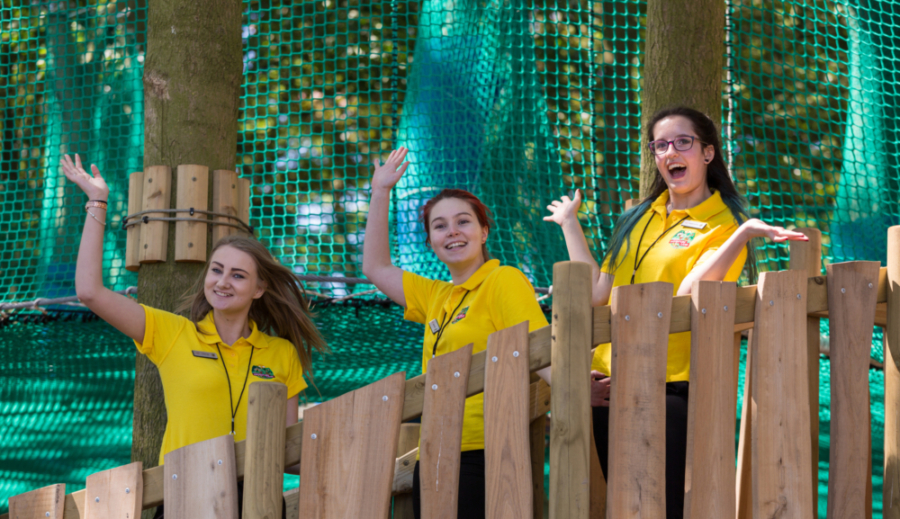 PSL Planning Solutions Ltd Careers